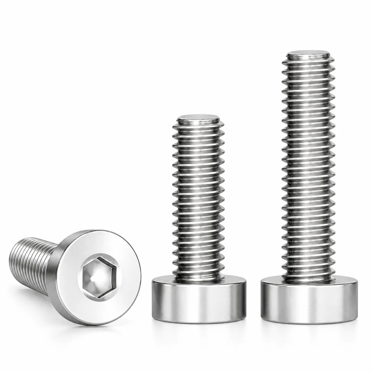 304 Stainless Low Head Socket Cap Screws — product photo